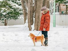-北海道神宫
