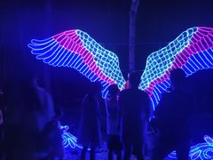 -昆山城市生态森林公园