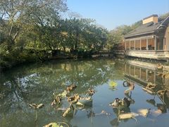 -绿茶餐厅(龙井船宴· 品牌总店)
