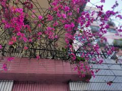 -人民公园(罗湖区)