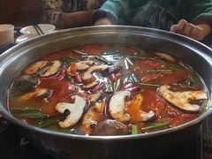 -云涛森林温泉