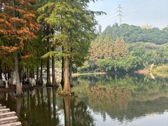 -重庆彩云湖湿地公园