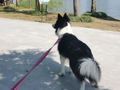 -南翔镇银翔湖公园