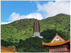 -深圳市中科院仙湖植物园