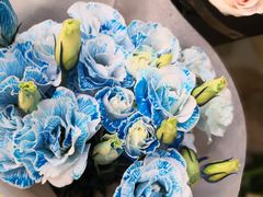 -双季花艺园艺市场(浦东店)