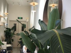 -树夏(金楠天街店)
