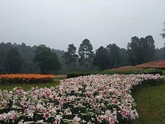 -保利石象湖景区