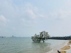 -霞山观海长廊