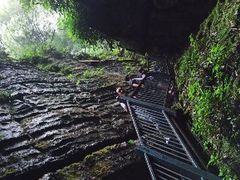 -梦幻奥陶纪景区