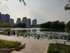 -新江湾城公园