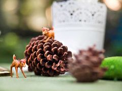 -上海安亭别墅花园酒店