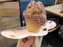 -野人先生现做冰淇淋(北京顺义祥云小镇店)