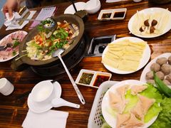 -鸭嘴鱼