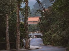 -深圳仙湖植物园