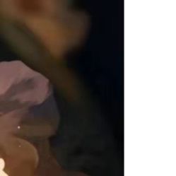 -凡碧诗毛孔收细