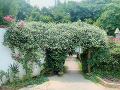 -花间酒庭院餐厅(谷山店)