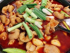 湘味肥肠火锅-湘肠香火锅店(团结湖店)
