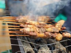 -尚庄度假村·庭台树下·户外烧烤·团建CS·轰趴营地(上庄水库店)