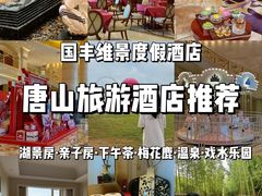 -唐山河头老街国丰维景度假大酒店