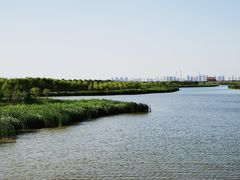 -西青郊野公园