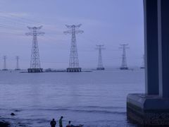 -宝安西湾红树林湿地公园