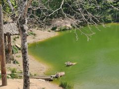 -西霞口神雕山野生动物世界