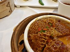 咖喱金钱肚-万山楼海鲜酒家·二十三年老字号