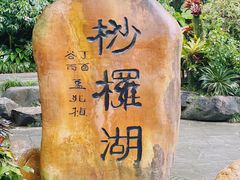 -深圳仙湖植物园