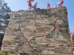 -金龙寺国家森林公园