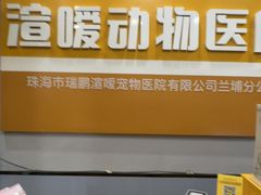 -渲嗳动物医院(异宠·复杂内科转诊中心·玖洲道富华里分院)