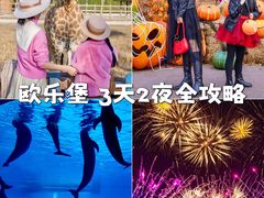-泉城欧乐堡梦幻世界