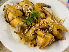 -百利鸽王(紫薇路店)