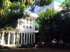 -Fern Forest Cafe