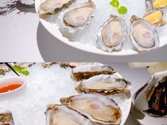-Oyster Talks 四度蚝法餐厅