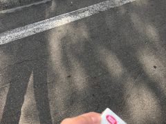 -楚媚娘炭火蛙锅(宽厚里店)