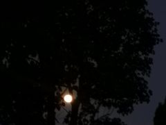 -南国桃园旅游度假区