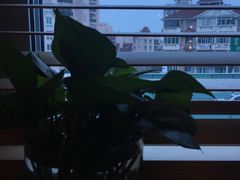 -真我樣照相馆·身份证·证件照·外拍(环球港店)
