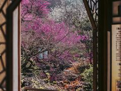 -杭州植物园