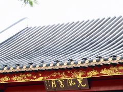 -顺峰山公园