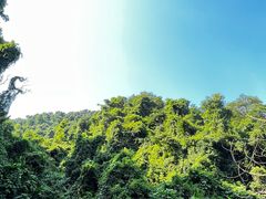 -广州市白云山风景名胜区