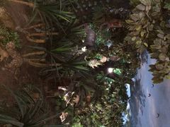 iphone_upload_pic-泗洪洪泽湖湿地景区