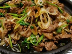 葱爆羊肉-力力豆花庄(广渠门店)