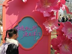 -桃花堤公园