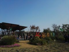 -上海长兴岛郊野公园