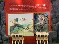 -吉林省自然博物馆