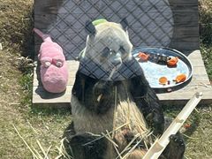 -无锡动物园·太湖欢乐园
