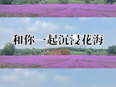 -花博汇(知音花月夜)