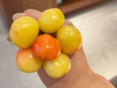 -都江堰石锅鱼