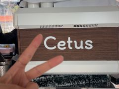 -Cetus coffee鲸鱼座咖啡·拼豆(二仙桥公园店)