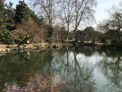 -西湖外事游船(花港观鱼码头)